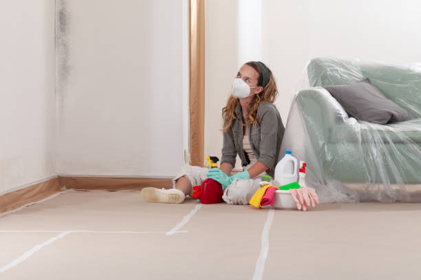 Reliable Mold Remediation contractor in Gaylord, MN by WQB Mold Removal